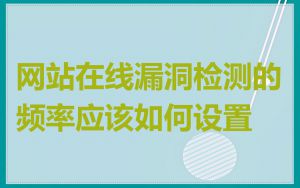 网站在线漏洞检测的频率应该如何设置