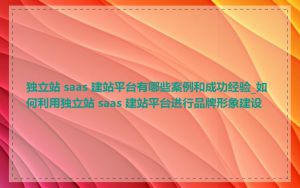 独立站 saas 建站平台有哪些案例和成功经验_如何利用独立站 saas 建站平台进行品牌形象建设