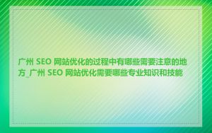 广州 SEO 网站优化的过程中有哪些需要注意的地方_广州 SEO 网站优化需要哪些专业知识和技能