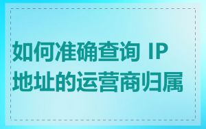 如何准确查询 IP 地址的运营商归属