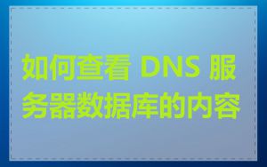 如何查看 DNS 服务器数据库的内容