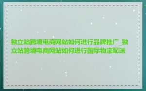 独立站跨境电商网站如何进行品牌推广_独立站跨境电商网站如何进行国际物流配送