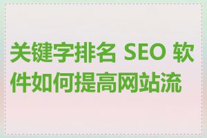 关键字排名 SEO 软件如何提高网站流量