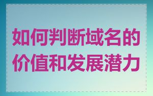 如何判断域名的价值和发展潜力