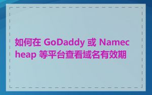 如何在 GoDaddy 或 Namecheap 等平台查看域名有效期