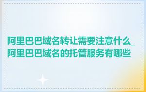 阿里巴巴域名转让需要注意什么_阿里巴巴域名的托管服务有哪些