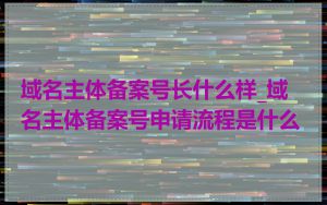 域名主体备案号长什么样_域名主体备案号申请流程是什么