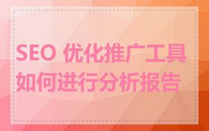 SEO 优化推广工具如何进行分析报告