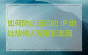 如何防止自己的 IP 地址被他人获取和滥用