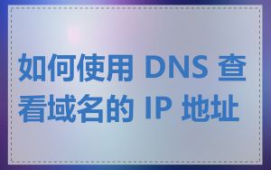 如何使用 DNS 查看域名的 IP 地址