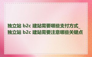 独立站 b2c 建站需要哪些支付方式_独立站 b2c 建站需要注意哪些关键点