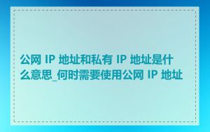 公网 IP 地址和私有 IP 地址是什么意思_何时需要使用公网 IP 地址