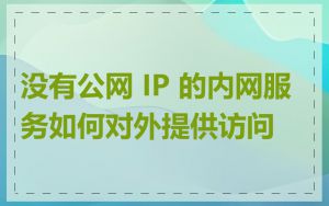 没有公网 IP 的内网服务如何对外提供访问