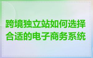 跨境独立站如何选择合适的电子商务系统