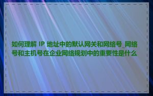 如何理解 IP 地址中的默认网关和网络号_网络号和主机号在企业网络规划中的重要性是什么