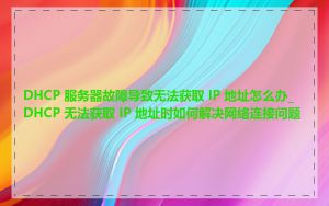 DHCP 服务器故障导致无法获取 IP 地址怎么办_DHCP 无法获取 IP 地址时如何解决网络连接问题