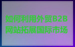 如何利用外贸B2B网站拓展国际市场