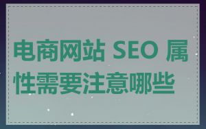 电商网站 SEO 属性需要注意哪些