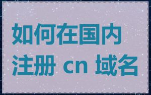 如何在国内注册 cn 域名