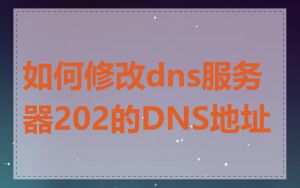 如何修改dns服务器202的DNS地址