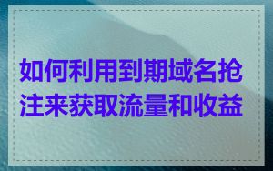 如何利用到期域名抢注来获取流量和收益