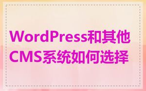 WordPress和其他CMS系统如何选择