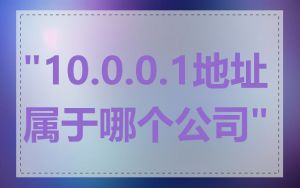 "10.0.0.1地址属于哪个公司"