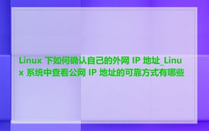 Linux 下如何确认自己的外网 IP 地址_Linux 系统中查看公网 IP 地址的可靠方式有哪些