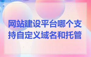 网站建设平台哪个支持自定义域名和托管