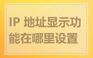 IP 地址显示功能在哪里设置