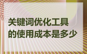 关键词优化工具的使用成本是多少