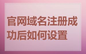 官网域名注册成功后如何设置