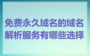 免费永久域名的域名解析服务有哪些选择