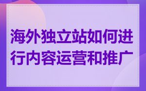 海外独立站如何进行内容运营和推广