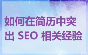 如何在简历中突出 SEO 相关经验