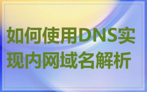 如何使用DNS实现内网域名解析