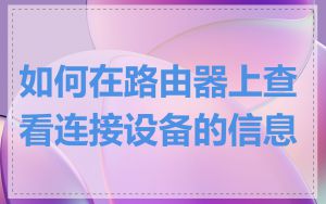 如何在路由器上查看连接设备的信息