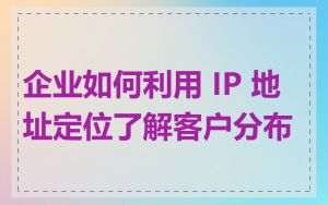 企业如何利用 IP 地址定位了解客户分布