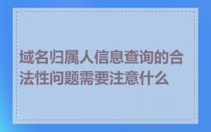 域名归属人信息查询的合法性问题需要注意什么