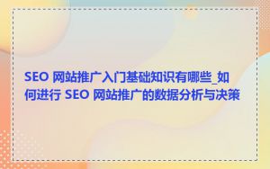 SEO 网站推广入门基础知识有哪些_如何进行 SEO 网站推广的数据分析与决策