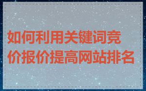 如何利用关键词竞价报价提高网站排名