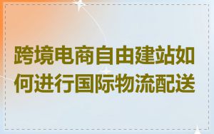 跨境电商自由建站如何进行国际物流配送