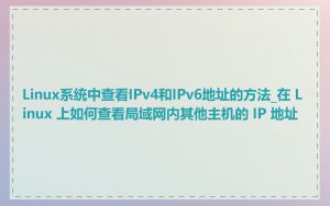 Linux系统中查看IPv4和IPv6地址的方法_在 Linux 上如何查看局域网内其他主机的 IP 地址