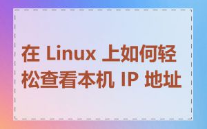 在 Linux 上如何轻松查看本机 IP 地址