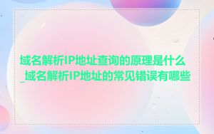 域名解析IP地址查询的原理是什么_域名解析IP地址的常见错误有哪些