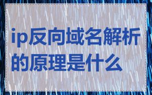 ip反向域名解析的原理是什么