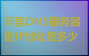 阿里DNS服务器的IP地址是多少