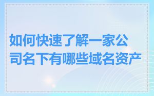 如何快速了解一家公司名下有哪些域名资产