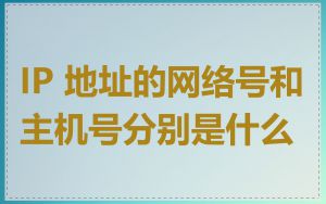 IP 地址的网络号和主机号分别是什么