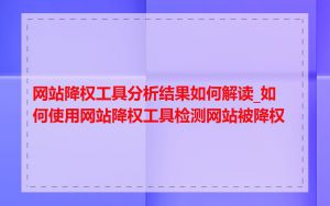 网站降权工具分析结果如何解读_如何使用网站降权工具检测网站被降权